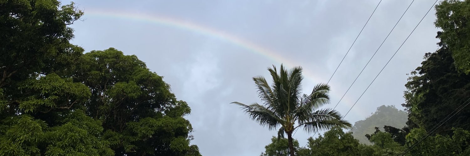 danycisneros97's profile banner image