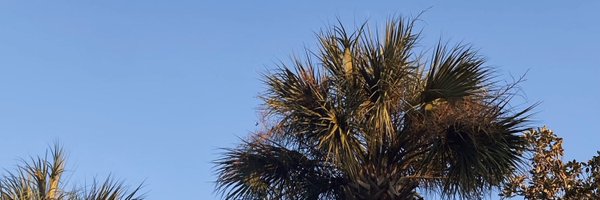 AlyssaHMorrison Profile Banner
