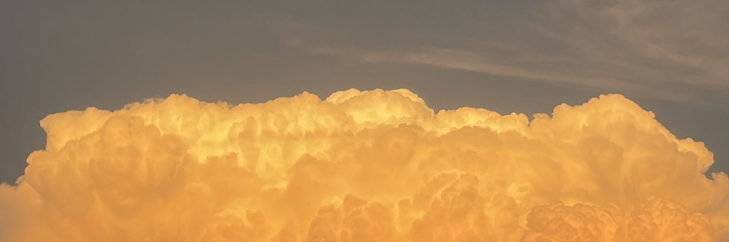 MagaliVazRomm's profile banner image