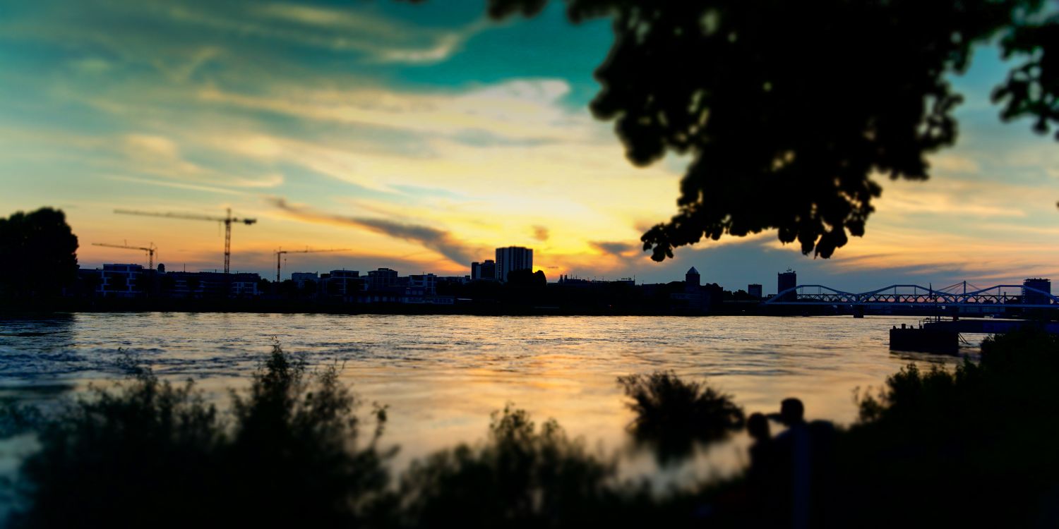 pilimen 🏳️‍🌈🏳️ banner