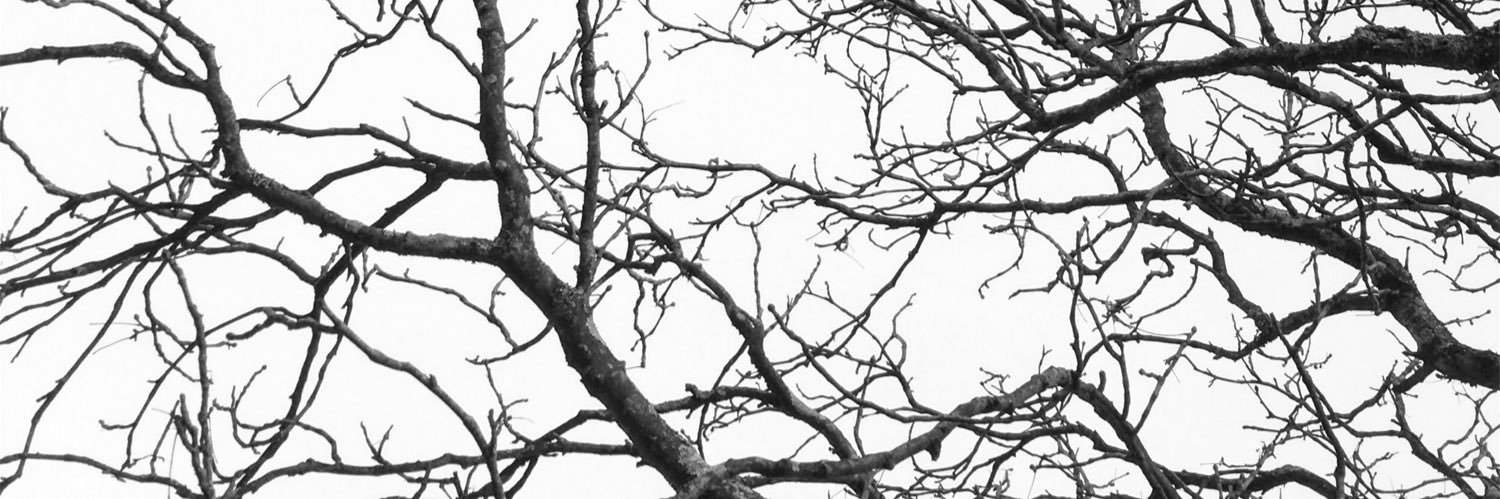adammenter's profile banner image