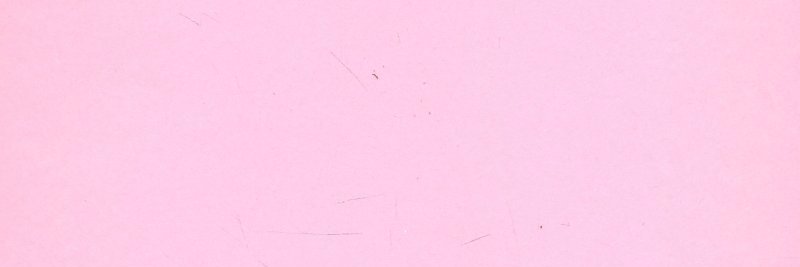 neetony_'s profile banner image