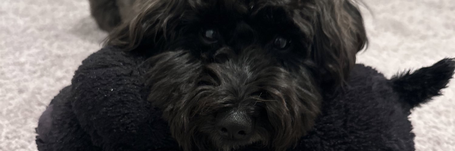 keat_lovas's profile banner image