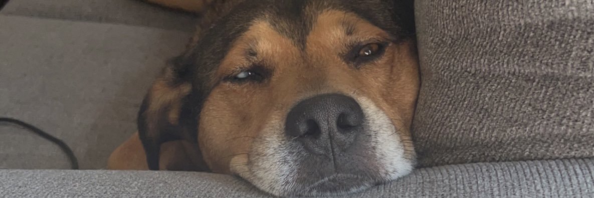kaylamccxo's profile banner image