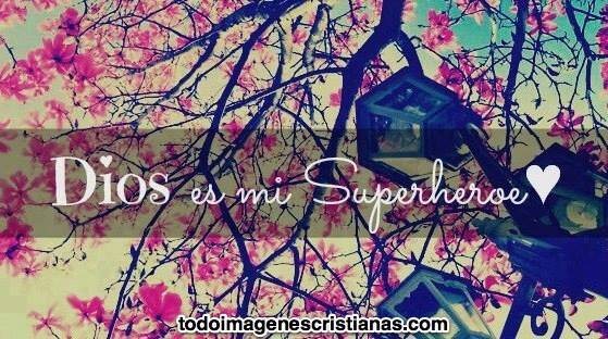 solmyacevedo's profile banner image