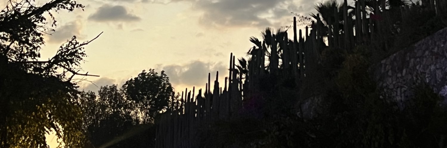 eiprilac's profile banner image