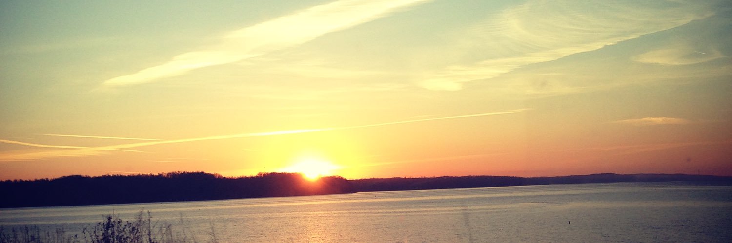 StephCarothers's profile banner image