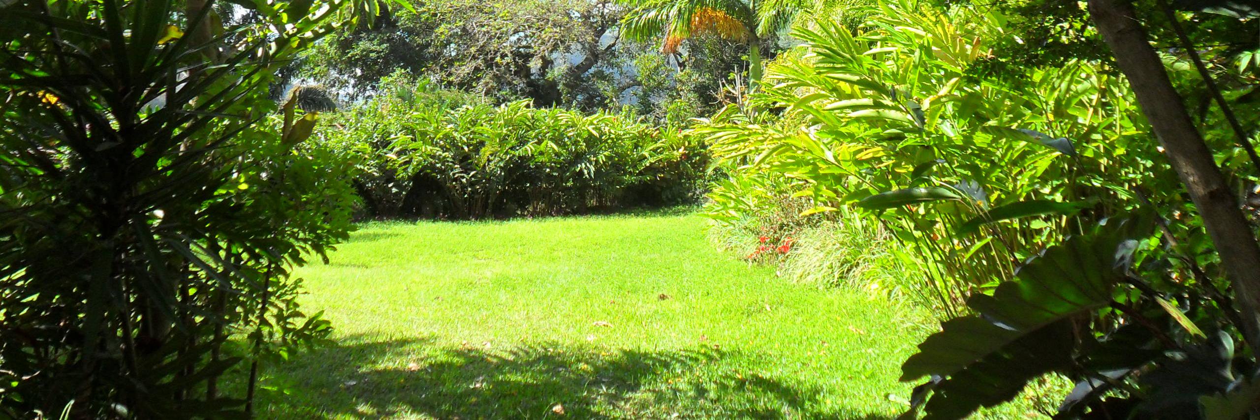 josediaz8's profile banner image