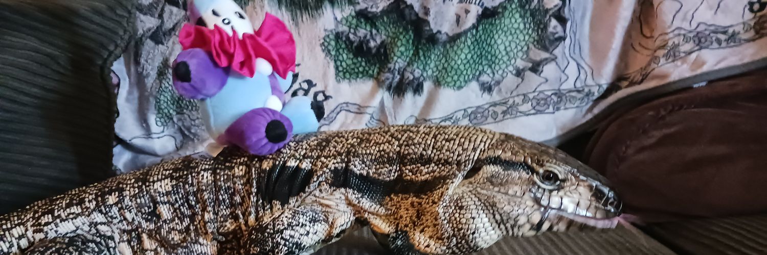 Kisa_1's profile banner image