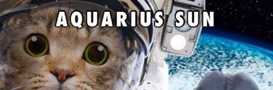 fuyui11's profile banner image