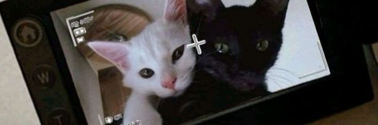 𝒚𝒖𝒏𝒈 ˚⊹♡ banner
