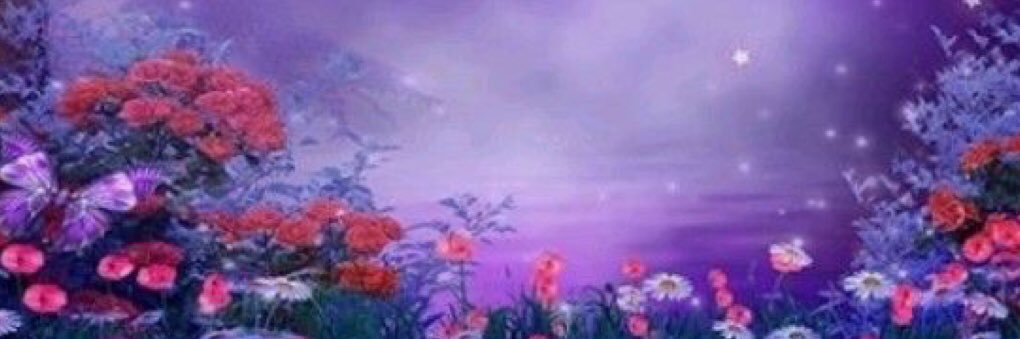 LauraJaneSH's profile banner image