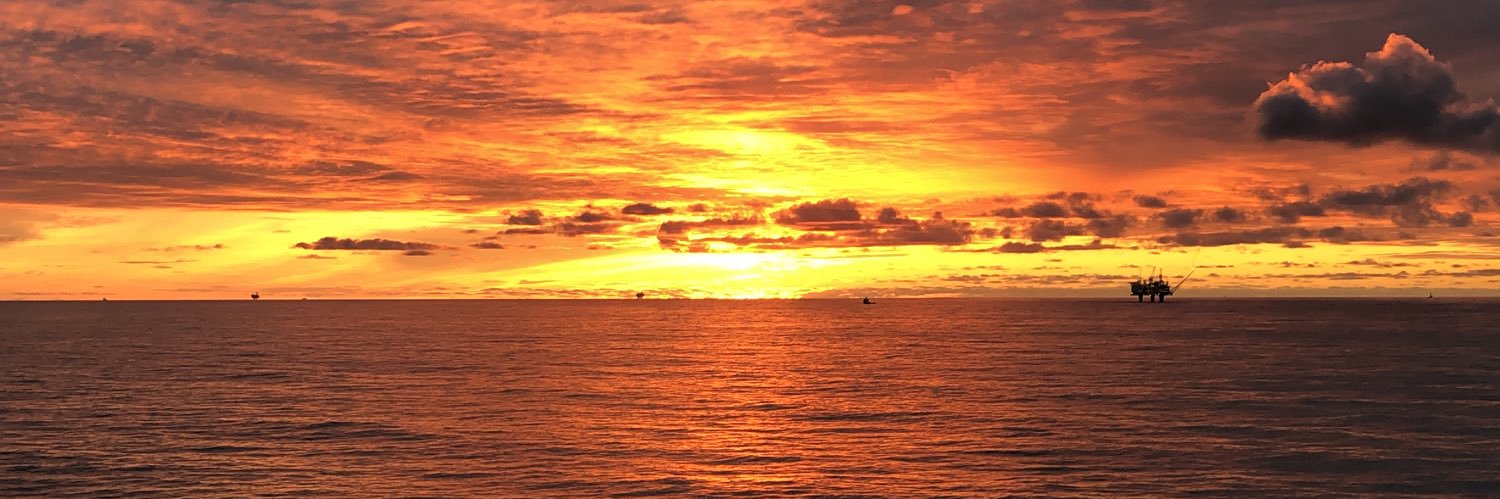 Odd Inge Strand banner