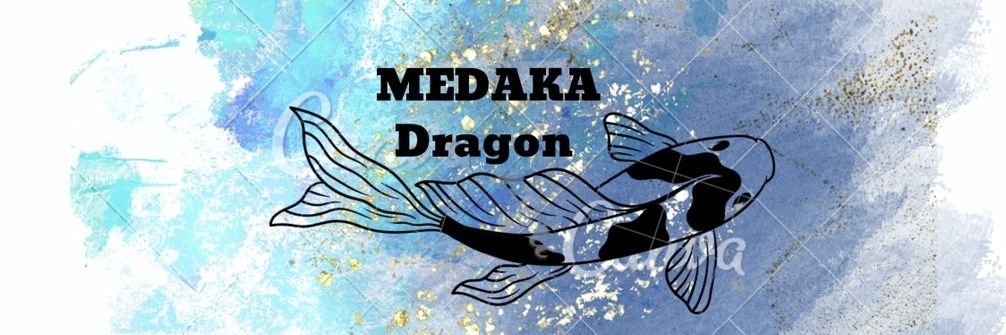 Dra78035246's profile banner image