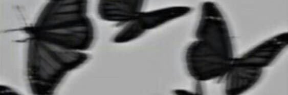 neri_MNT's profile banner image