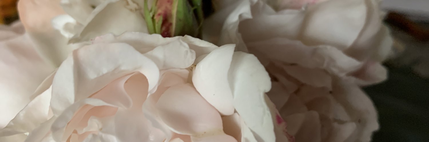 natalib06's profile banner image