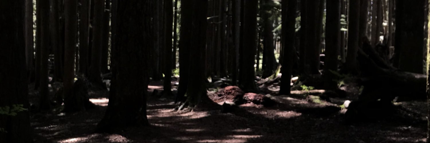 Mise'l Abram banner