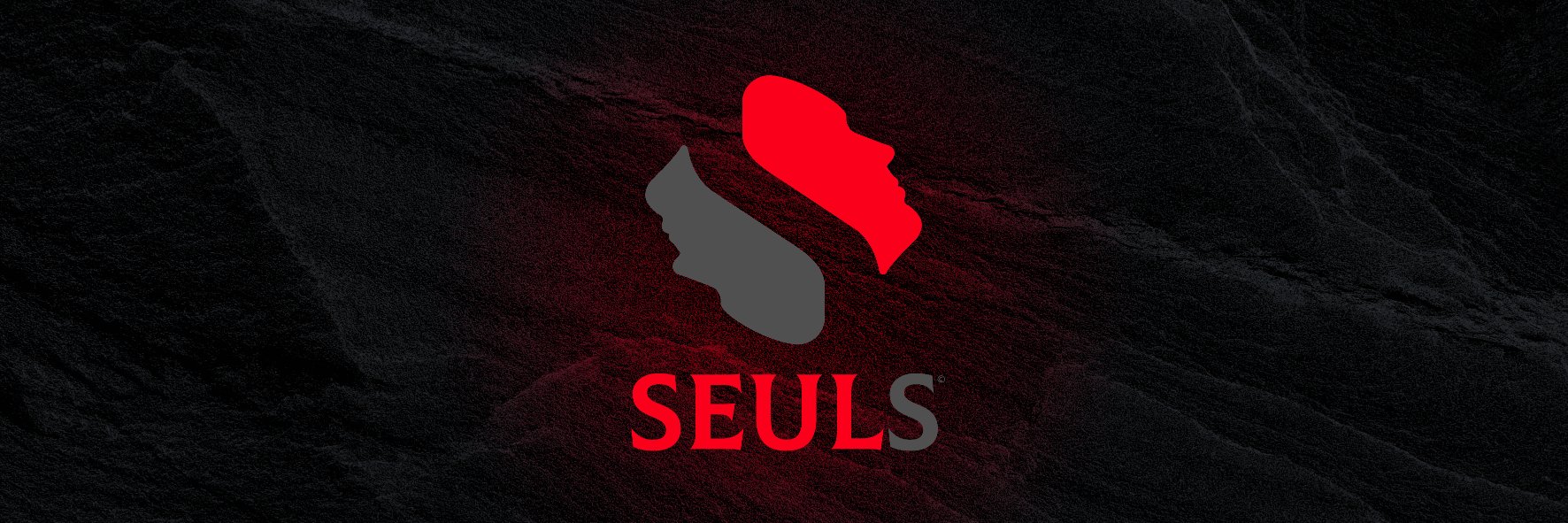 MusicSeuls's profile banner image