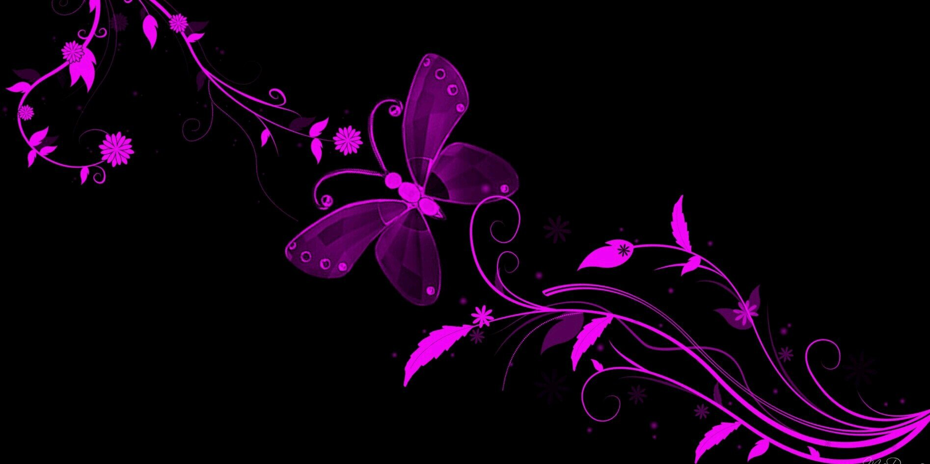 Dragonfly972's profile banner image