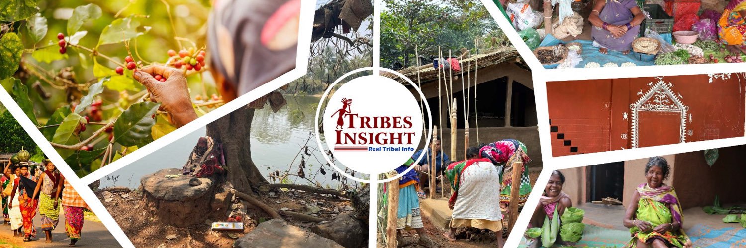 TribesInsight's profile banner image
