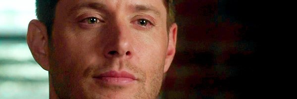 We Love Supernatural banner