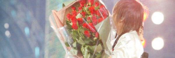 244511's profile banner image