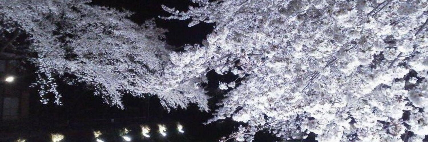 lewteru's profile banner image