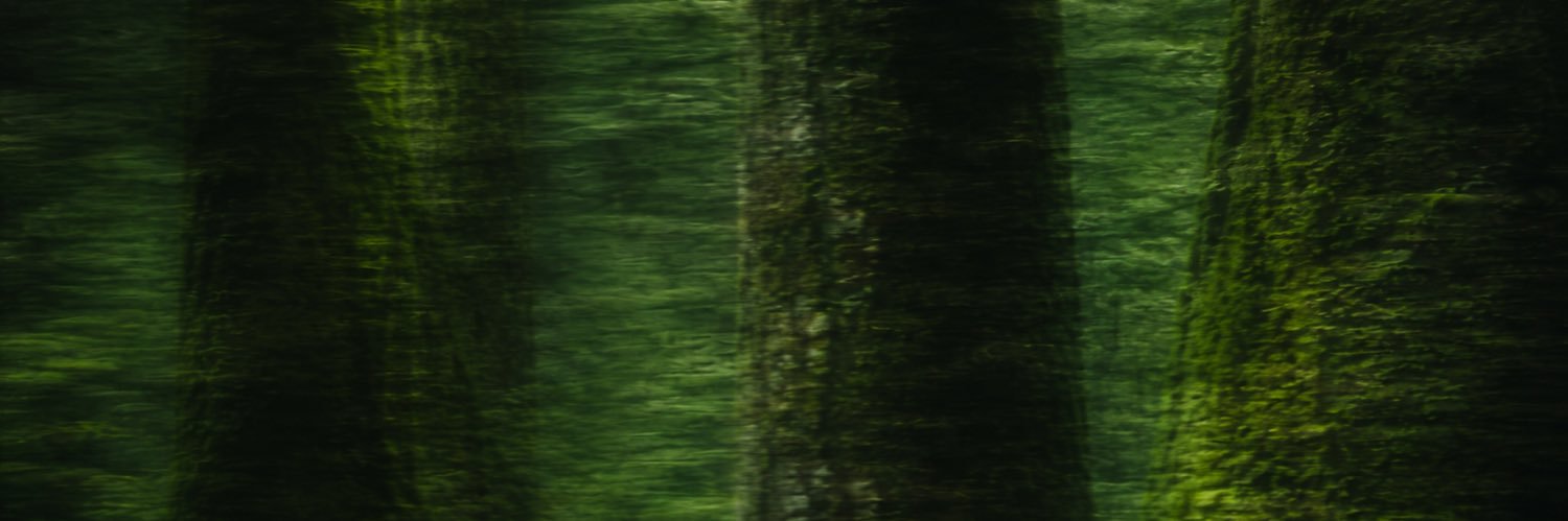 Devansh_1704's profile banner image