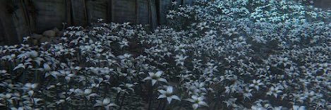 Out With Lanterns, Good Hunter banner