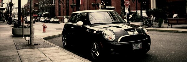 mottihina Profile Banner