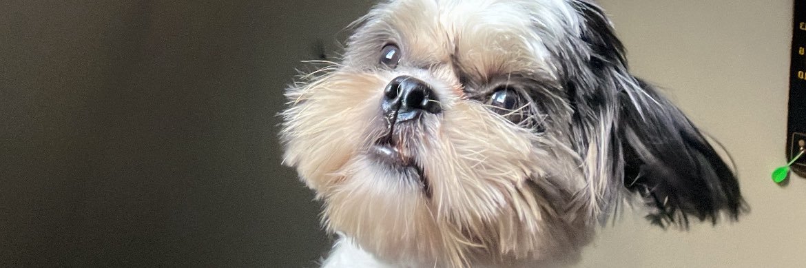 PedroJunior23's profile banner image