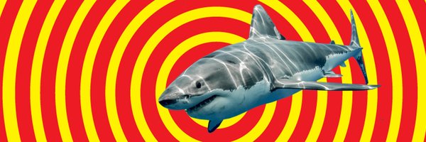 shark_new Profile Banner