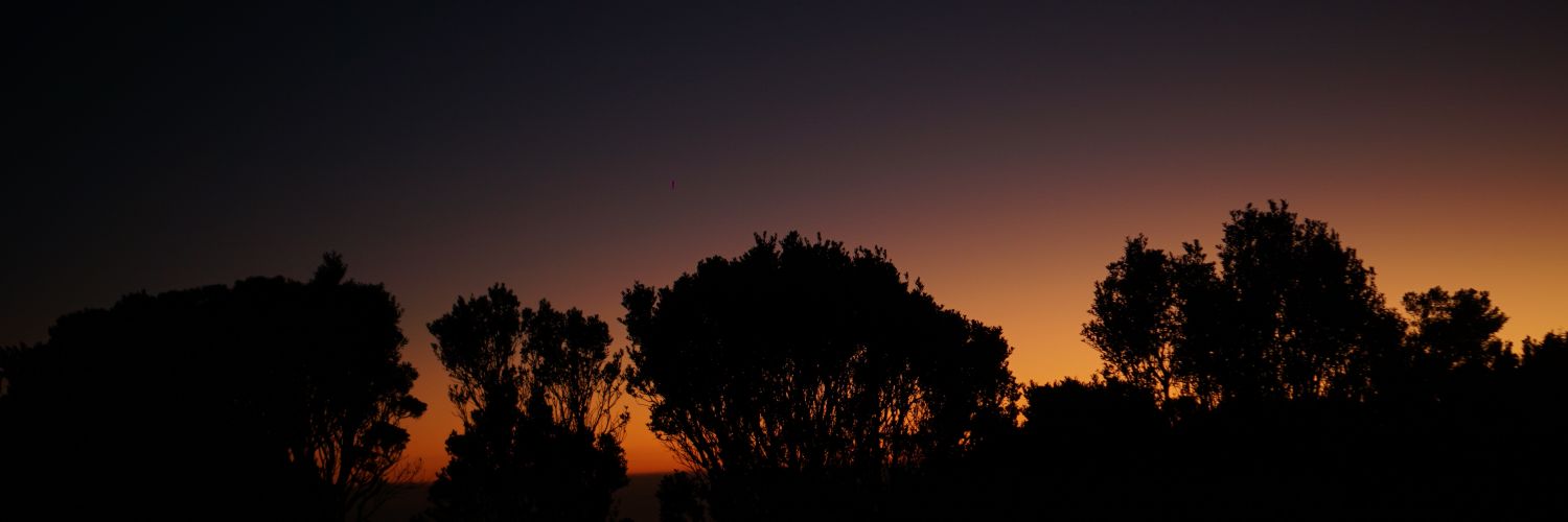 alsafirdaus's profile banner image