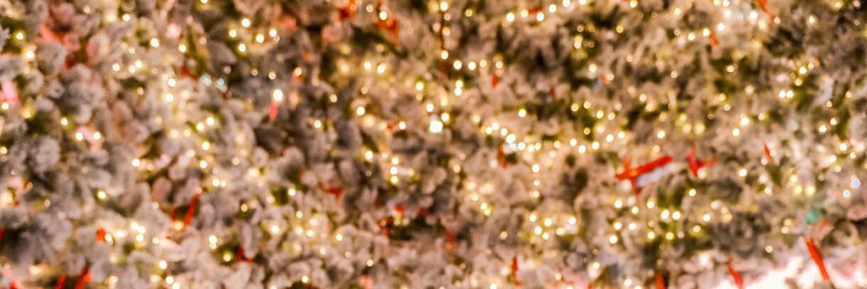 kittitut12's profile banner image