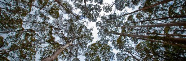 Gilchristdj Profile Banner