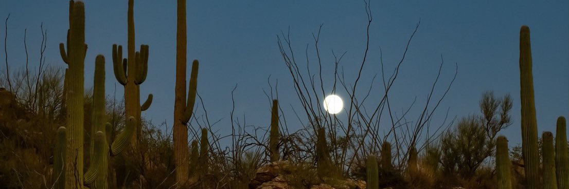 allisonyperez's profile banner image