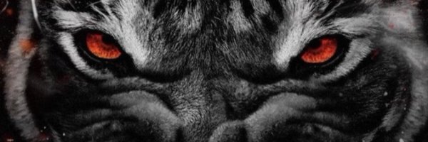 Juansalasjr4 Profile Banner