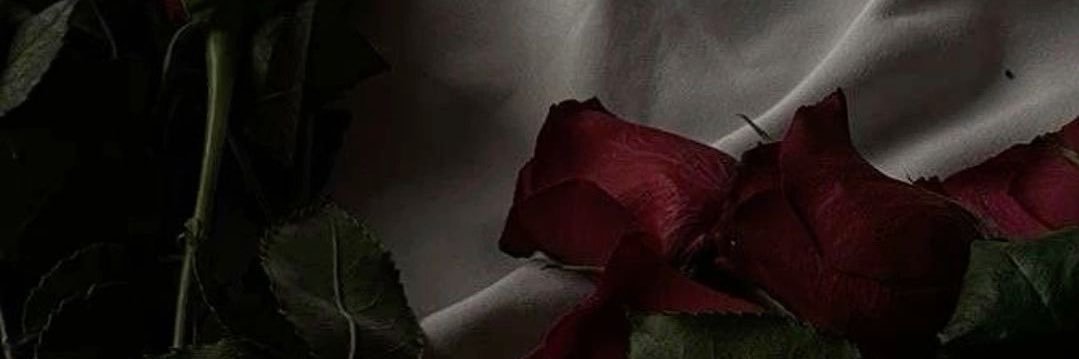 🥀 femme fa·tale 🥀's banner