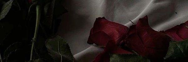 crybby44 Profile Banner