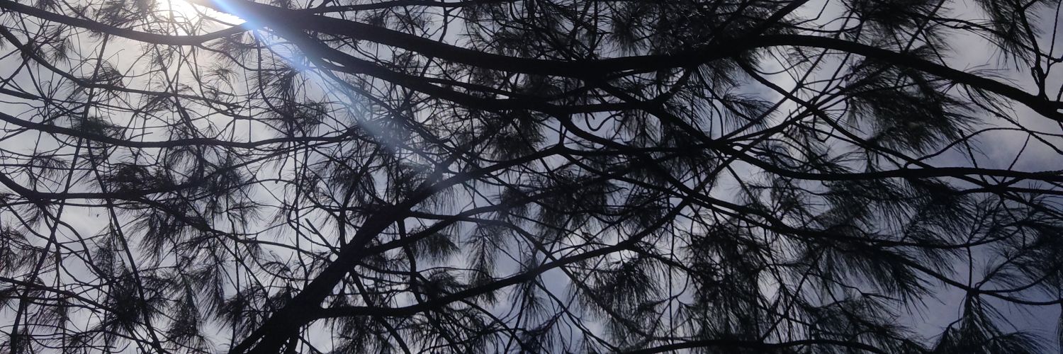iPaola_LS's profile banner image