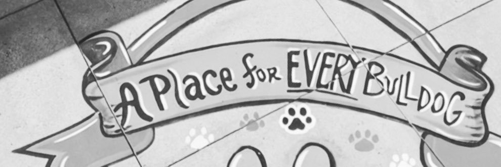 MattieDeal_AP's profile banner image