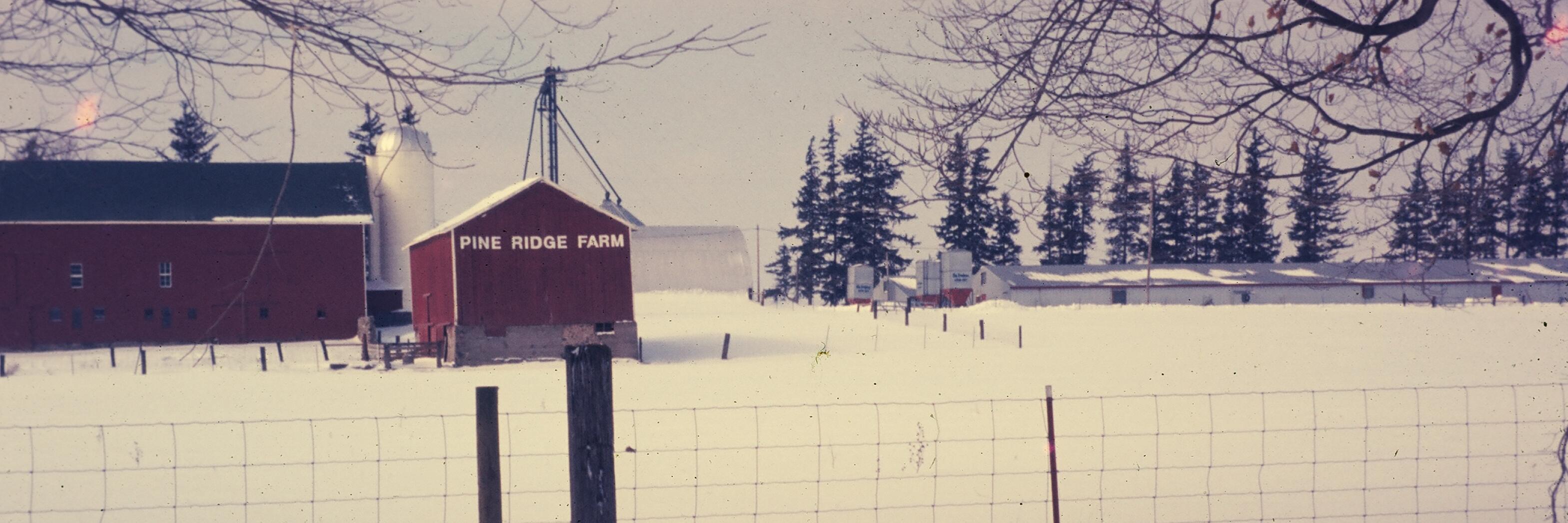 Fit2Farm's profile banner image