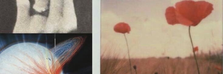 lovlyjims's profile banner image