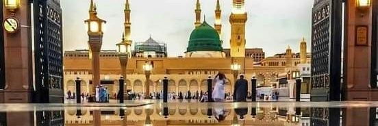 salihnimir's profile banner image