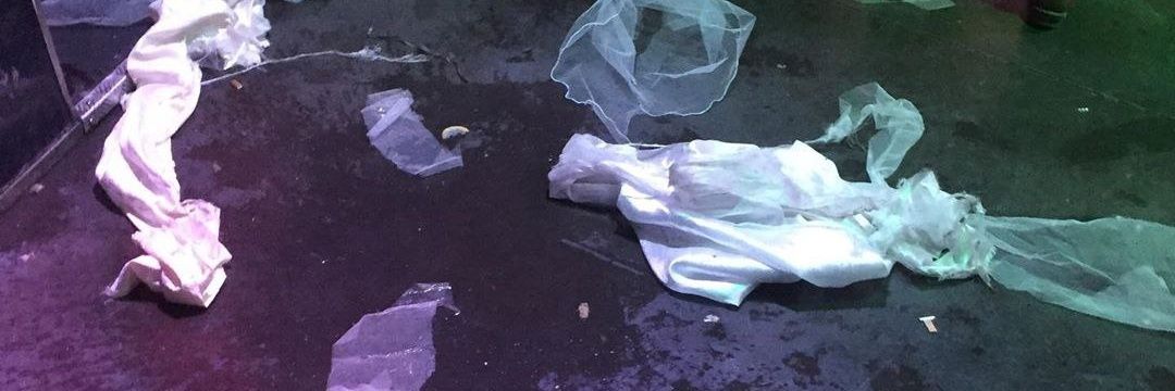 CCCHusma 💩✨ banner