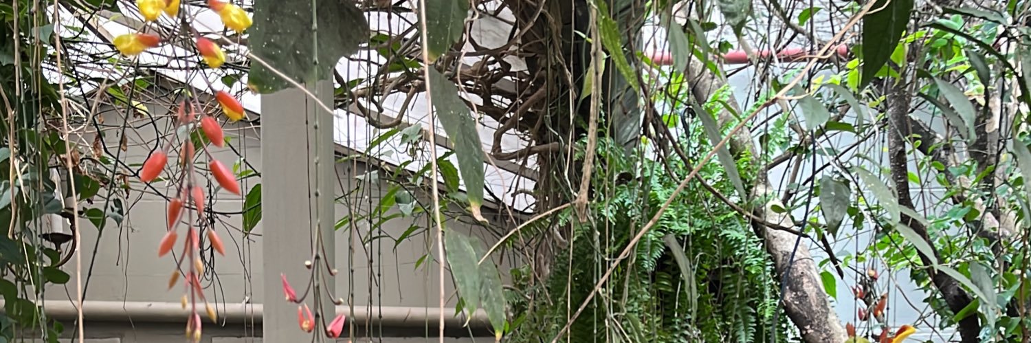 AnaCarolinaMoreira banner