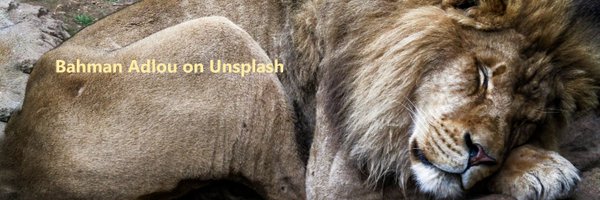PapersSleep Profile Banner