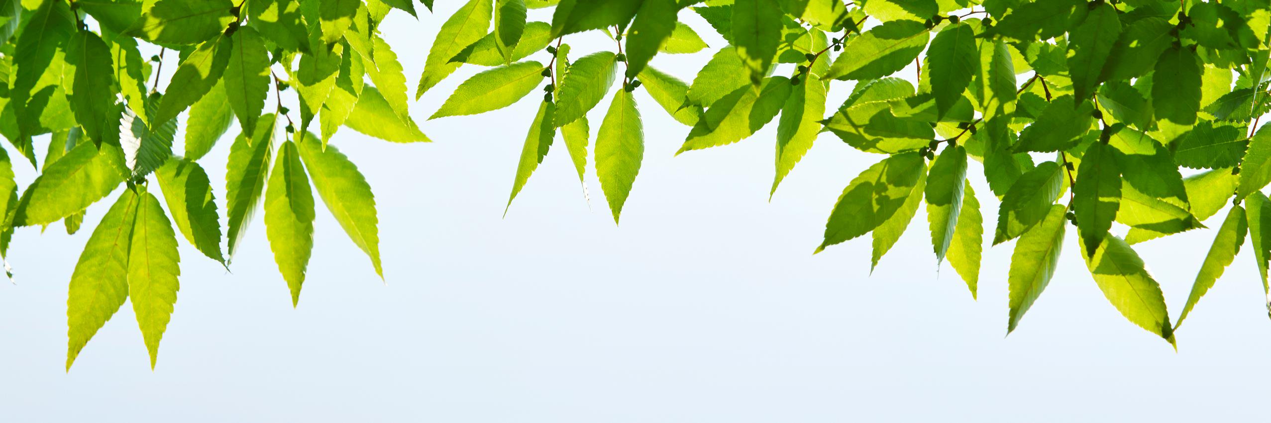 TheNUAC's profile banner image