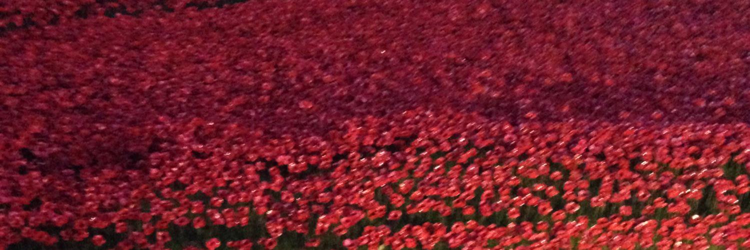 DonnaBarnham1's profile banner image