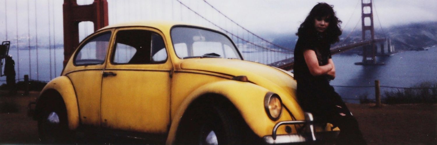 leo steinfeld banner